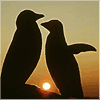 userpic