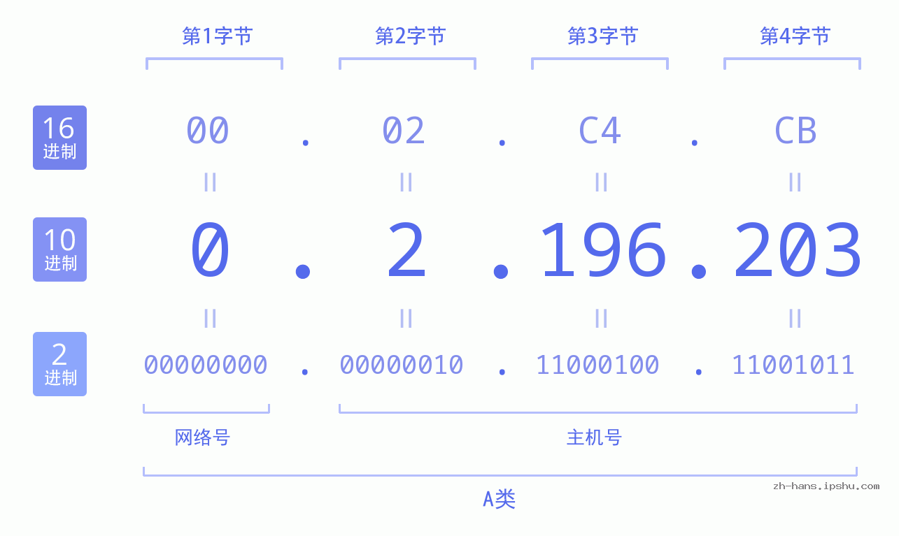 IPv4: 0.2.196.203 网络类型 网络号 主机号