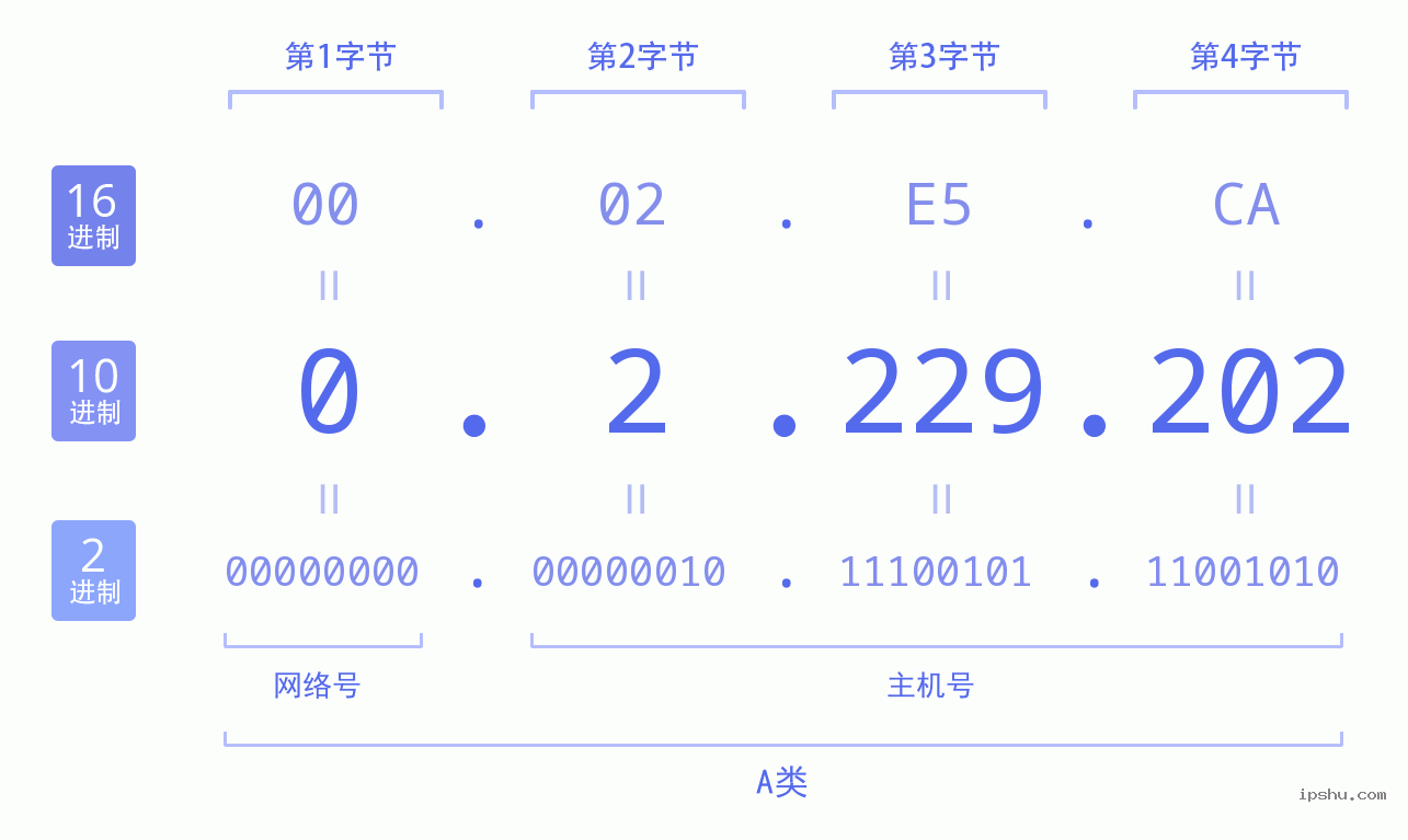 IPv4: 0.2.229.202 网络类型 网络号 主机号