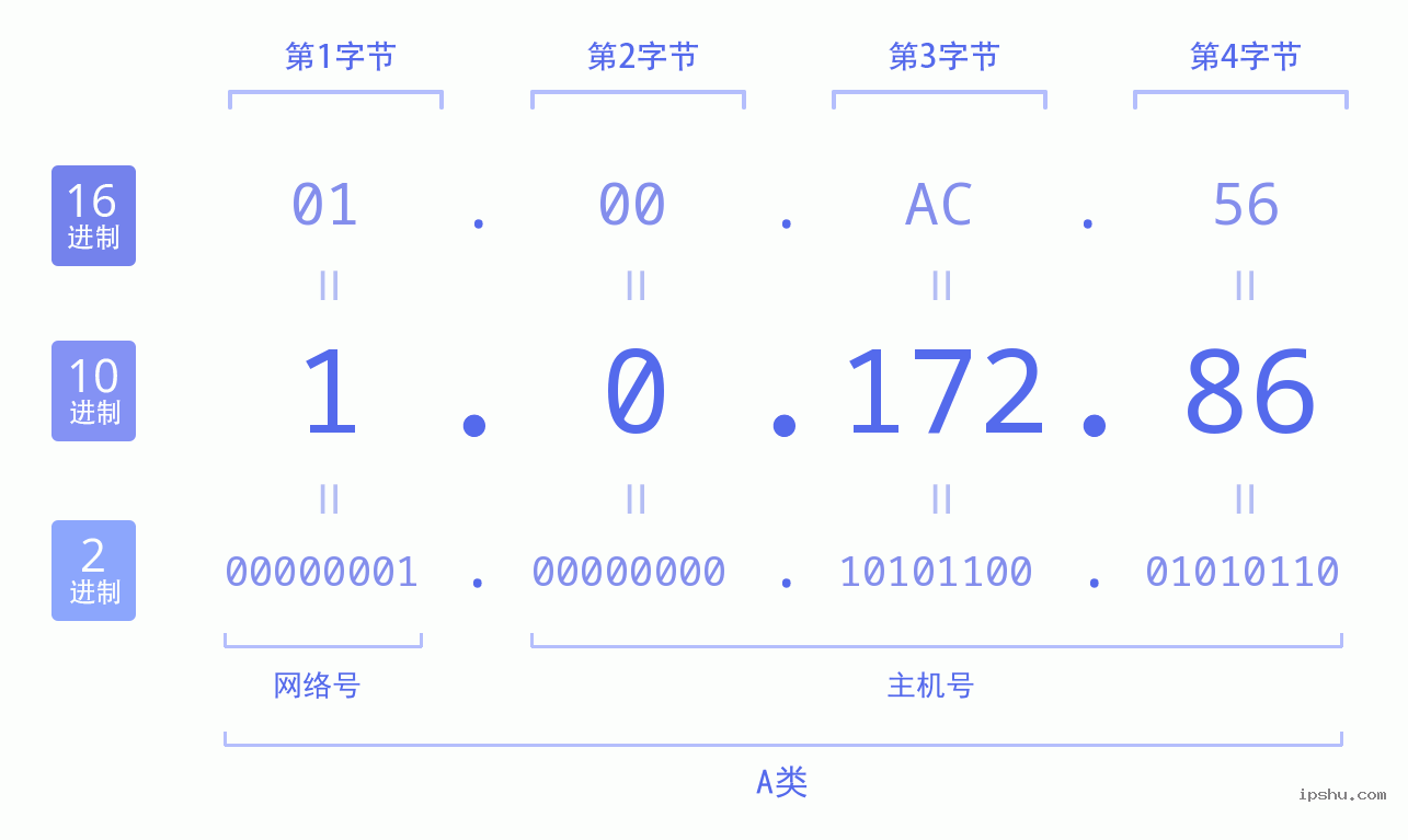 IPv4: 1.0.172.86 网络类型 网络号 主机号