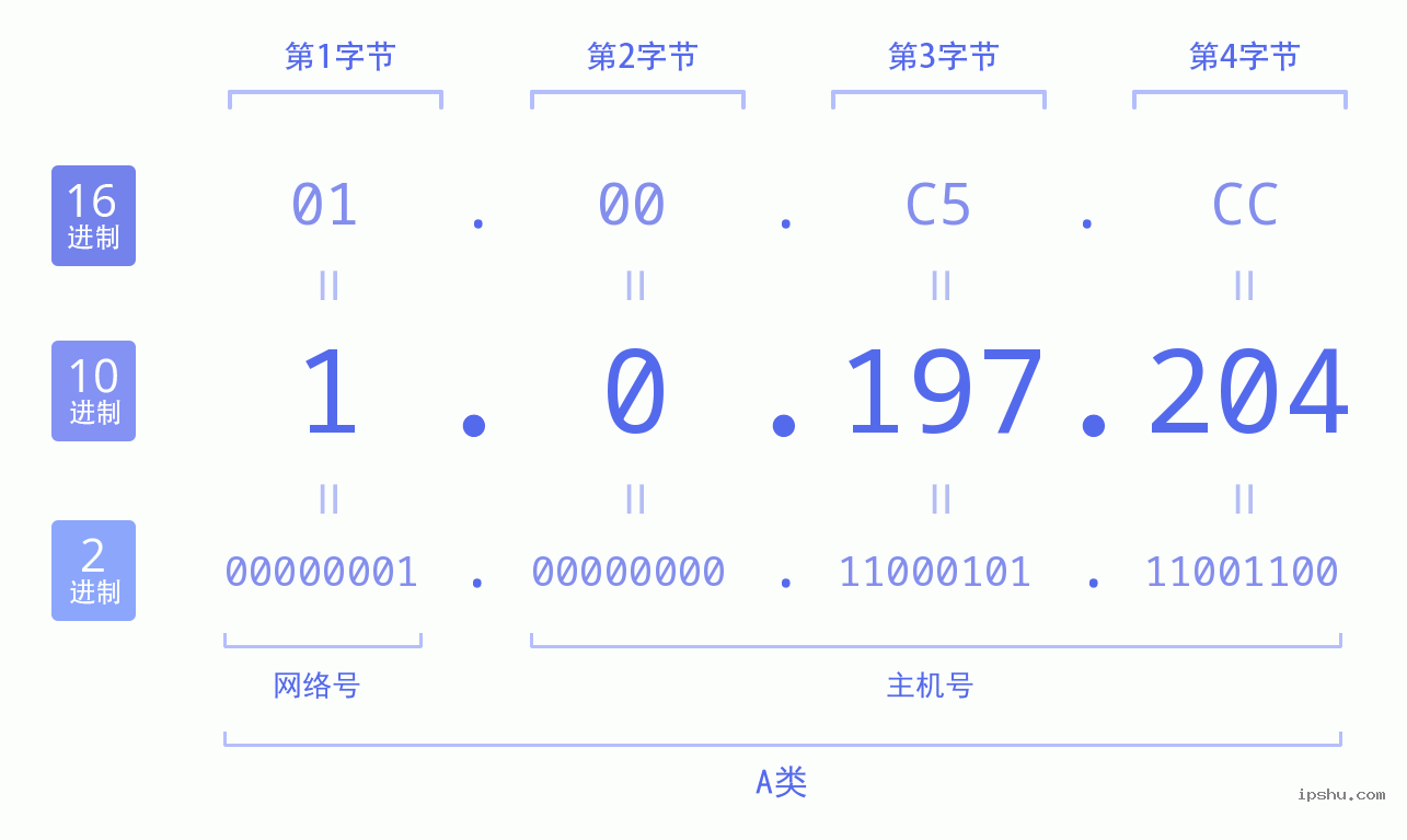 IPv4: 1.0.197.204 网络类型 网络号 主机号