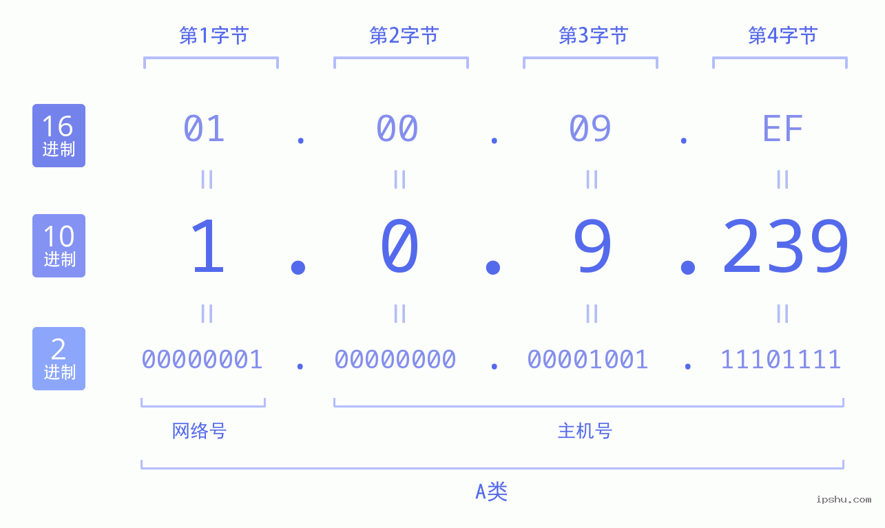 IPv4: 1.0.9.239 网络类型 网络号 主机号