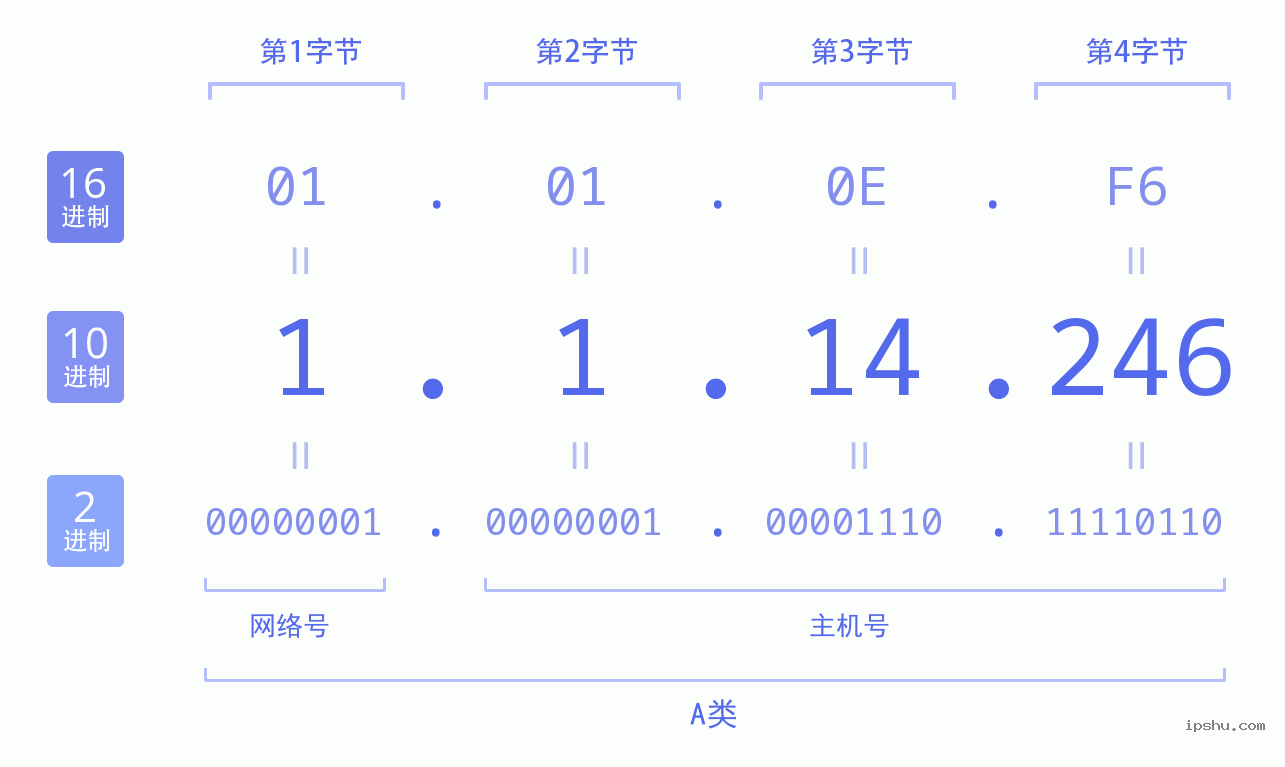 IPv4: 1.1.14.246 网络类型 网络号 主机号