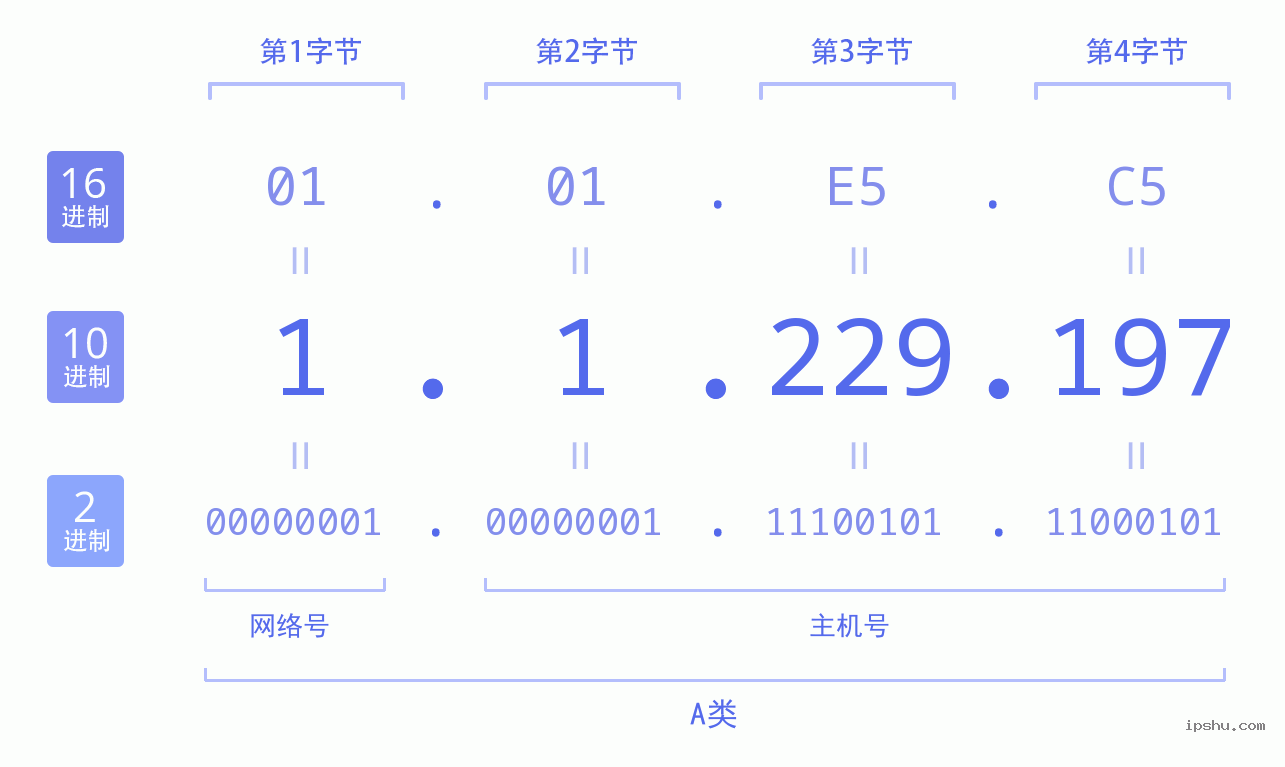 IPv4: 1.1.229.197 网络类型 网络号 主机号