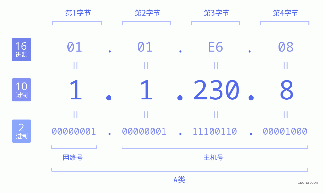 IPv4: 1.1.230.8 网络类型 网络号 主机号