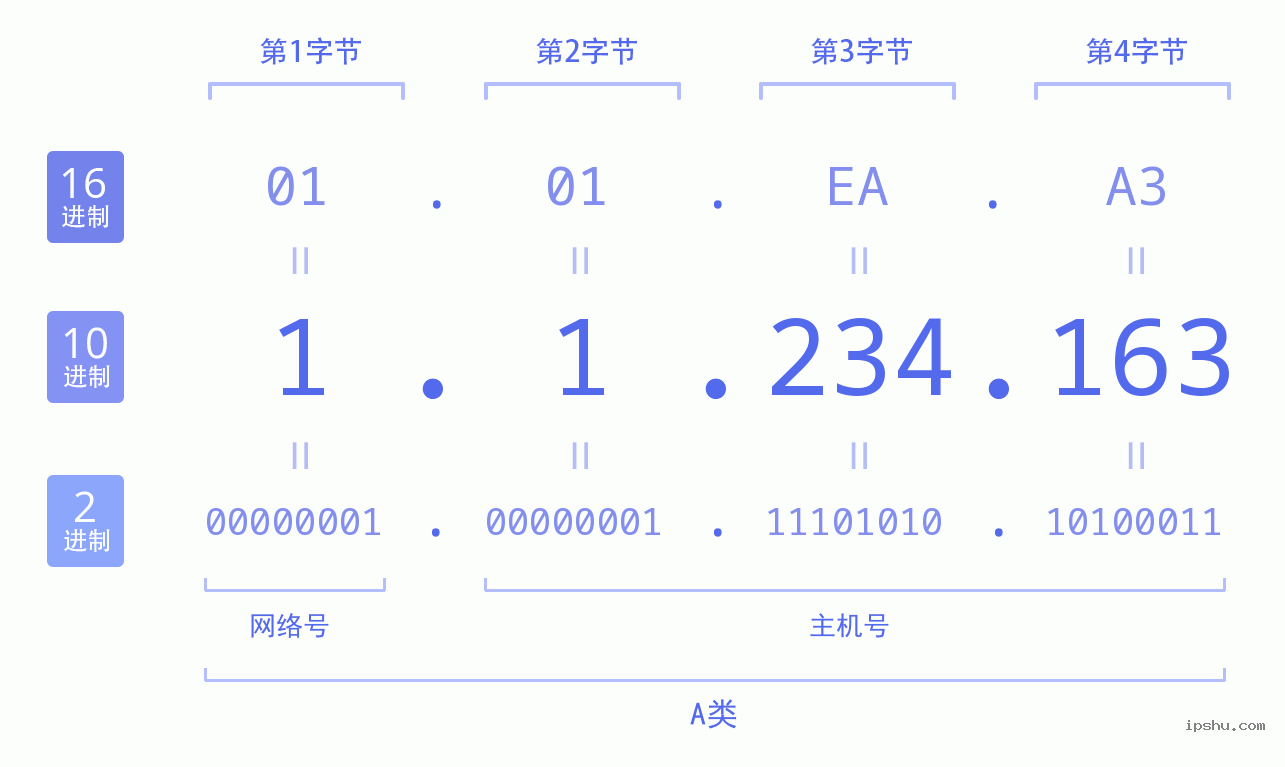 IPv4: 1.1.234.163 网络类型 网络号 主机号