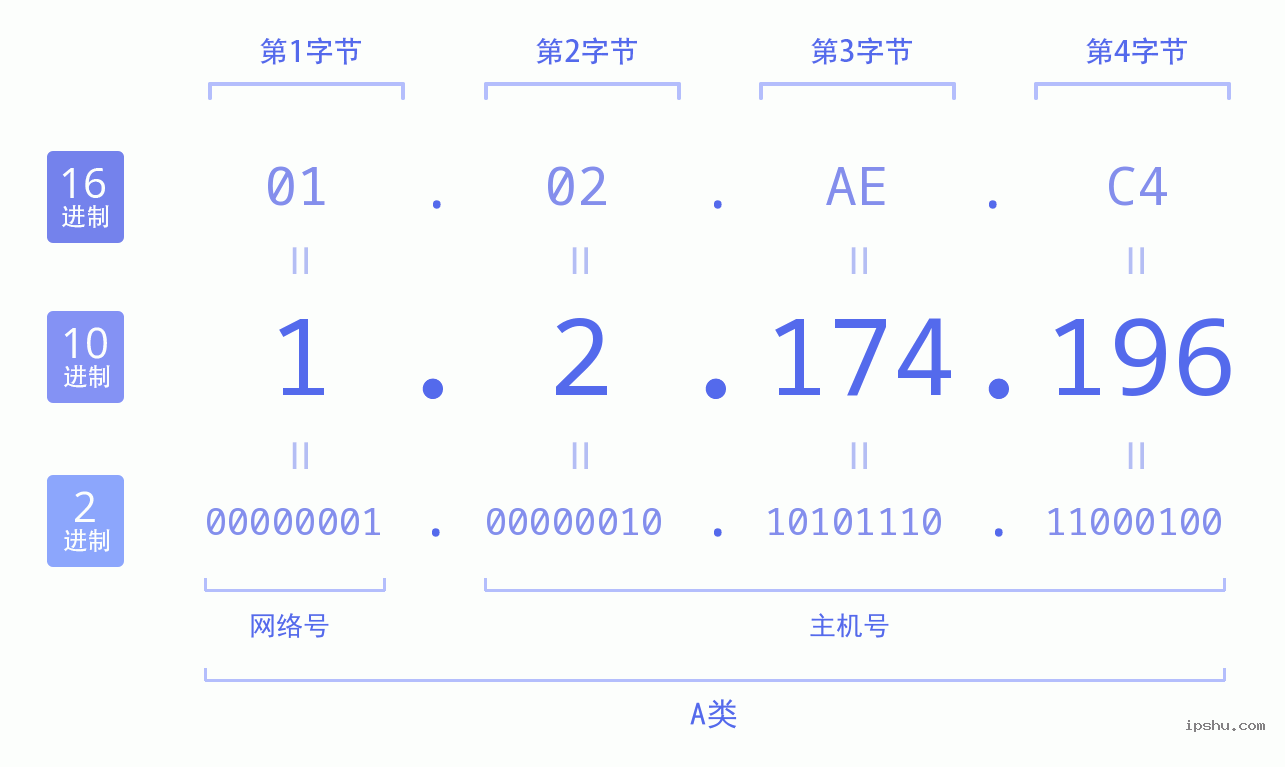 IPv4: 1.2.174.196 网络类型 网络号 主机号