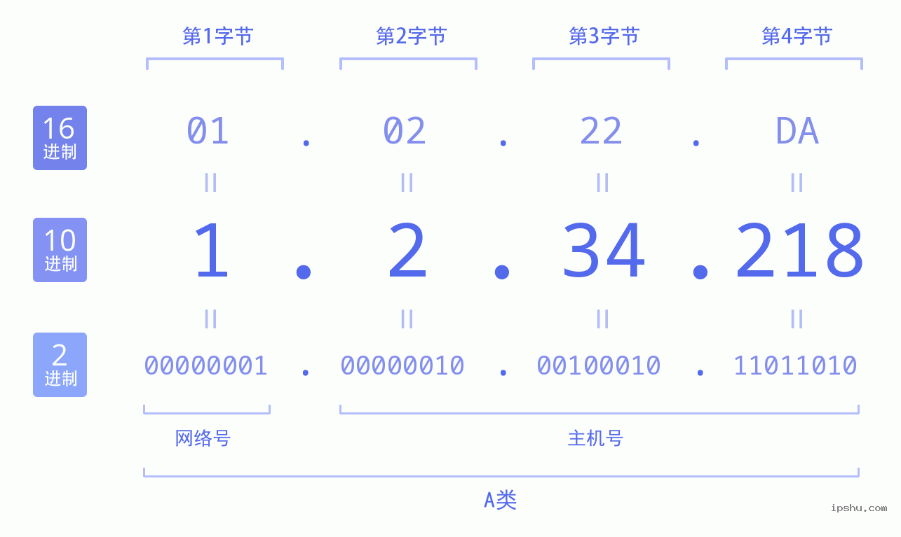 IPv4: 1.2.34.218 网络类型 网络号 主机号