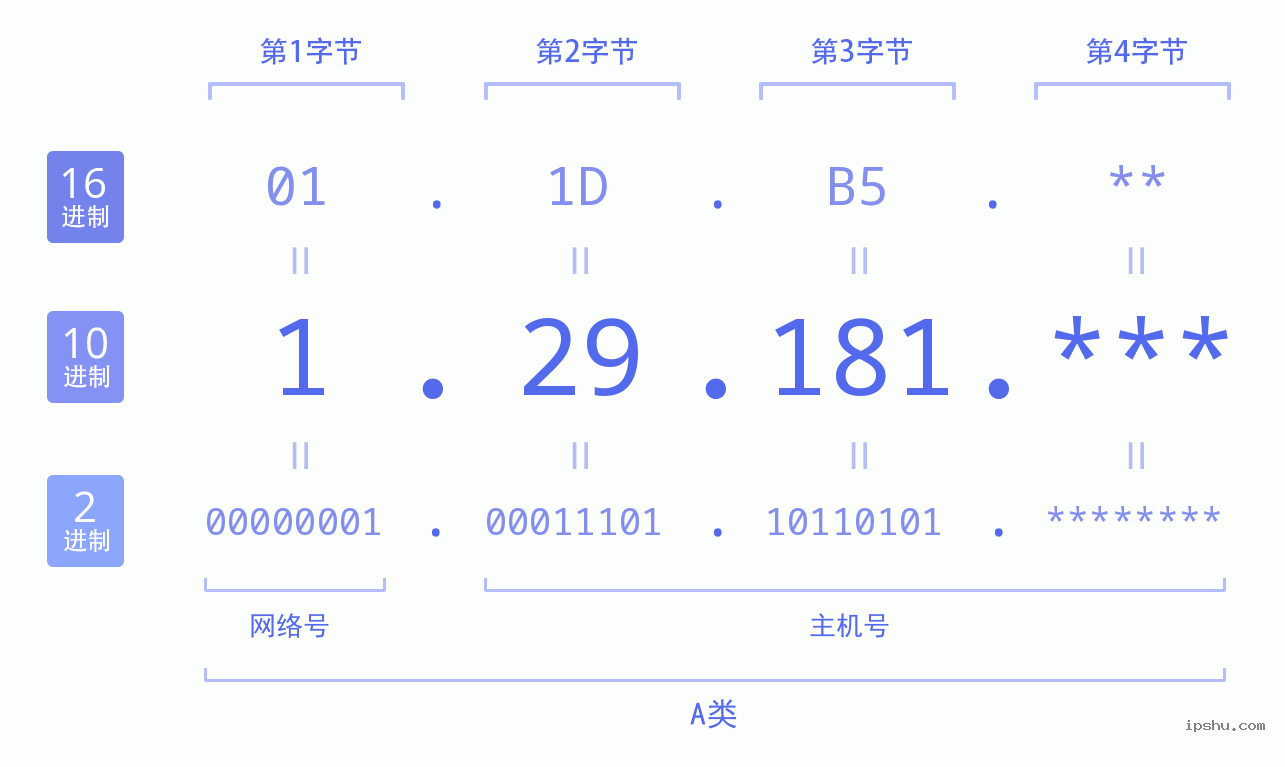 IPv4: 1.29.181 网络类型 网络号 主机号