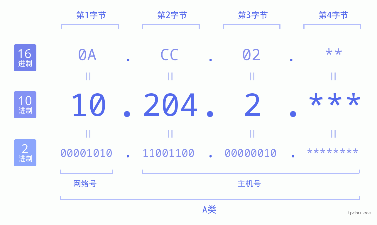 IPv4: 10.204.2 网络类型 网络号 主机号