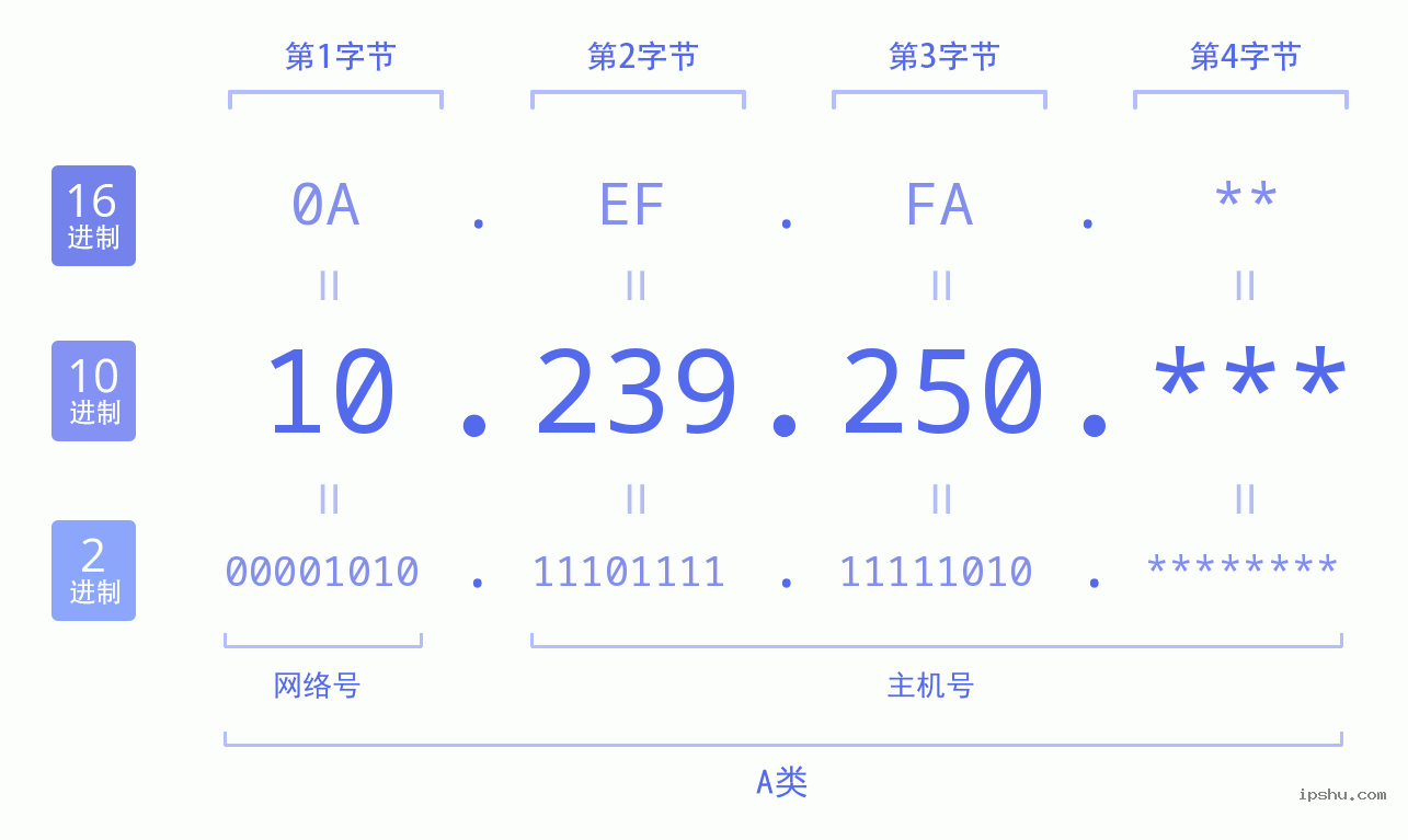 IPv4: 10.239.250 网络类型 网络号 主机号