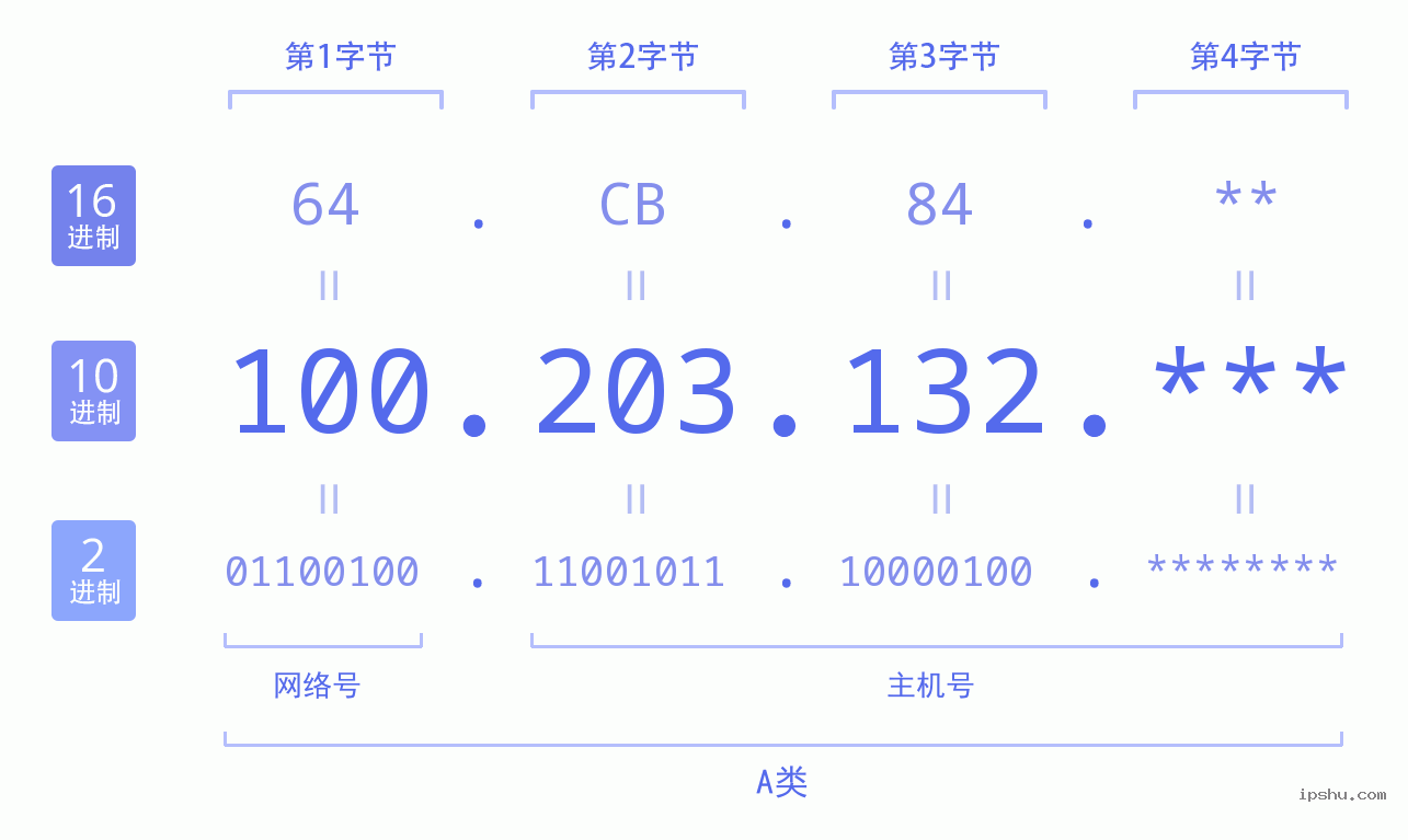 IPv4: 100.203.132 网络类型 网络号 主机号