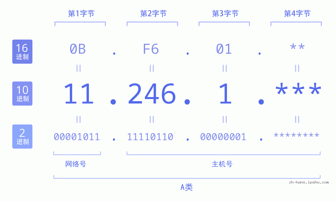 IP地址:11.246.1 数据结构图 二进制 十进制 十六进制 IPv4: 11.246.1 网络类型 网络号 主机号