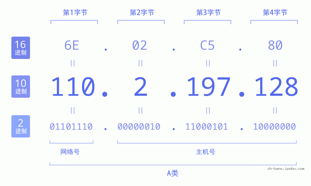 IPv4: 110.2.197.128 网络类型 网络号 主机号