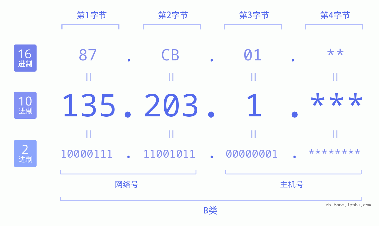 IP地址:135.203.1 数据结构图 二进制 十进制 十六进制 IPv4: 135.203.1 网络类型 网络号 主机号