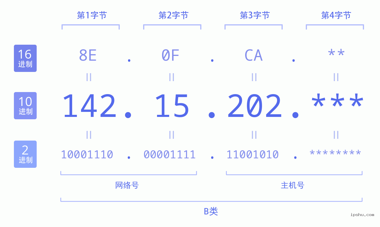 IPv4: 142.15.202 网络类型 网络号 主机号