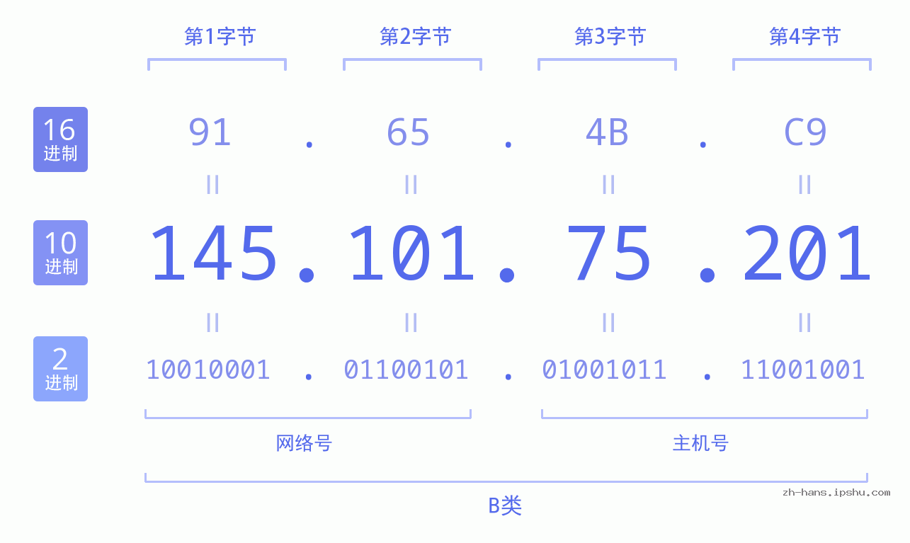 IP地址:145.101.75.201 数据结构图 二进制 十进制 十六进制 IPv4: 145.101.75.201 网络类型 网络号 主机号