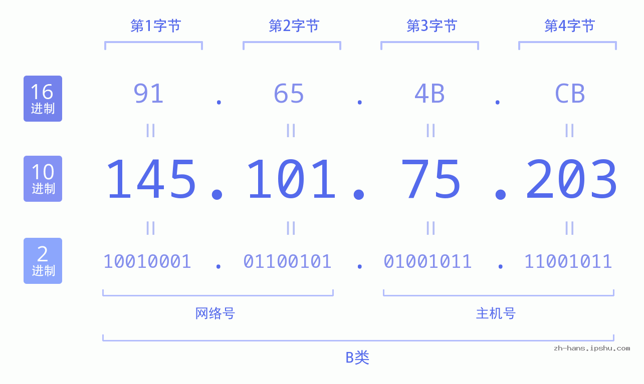 IP地址:145.101.75.203 数据结构图 二进制 十进制 十六进制 IPv4: 145.101.75.203 网络类型 网络号 主机号