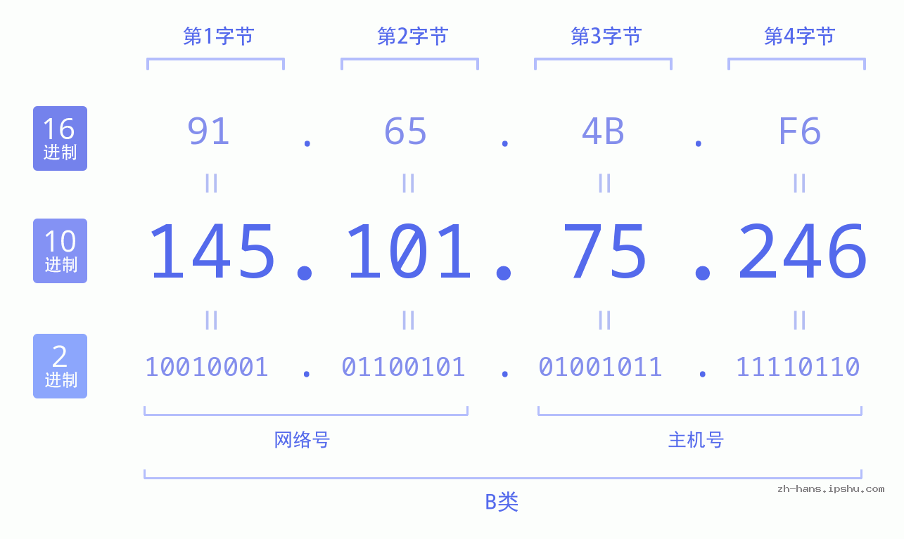 IP地址:145.101.75.246 数据结构图 二进制 十进制 十六进制 IPv4: 145.101.75.246 网络类型 网络号 主机号