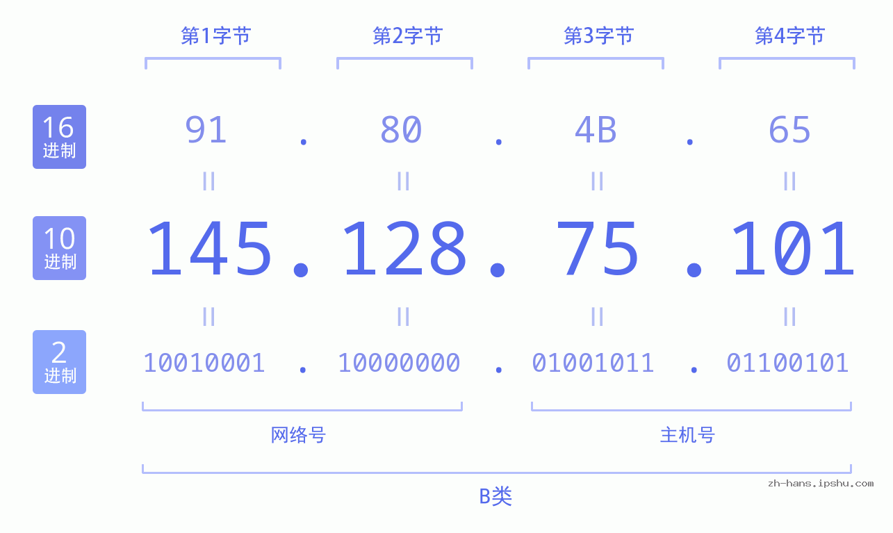 IPv4: 145.128.75.101 网络类型 网络号 主机号
