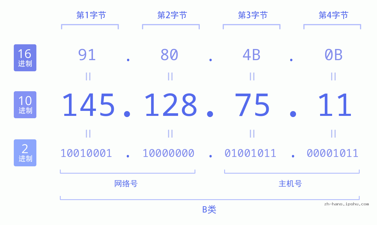 IPv4: 145.128.75.11 网络类型 网络号 主机号