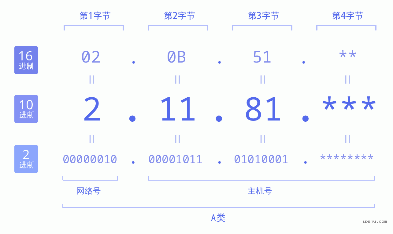 IPv4: 2.11.81 网络类型 网络号 主机号