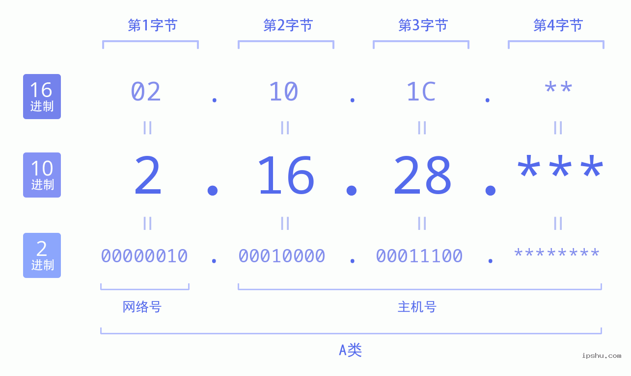 IPv4: 2.16.28 网络类型 网络号 主机号