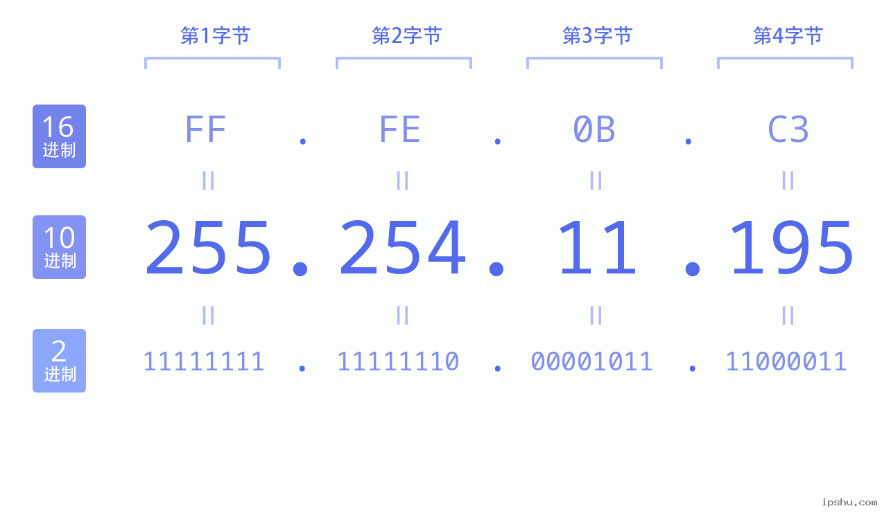 IPv4: 255.254.11.195 网络类型 网络号 主机号