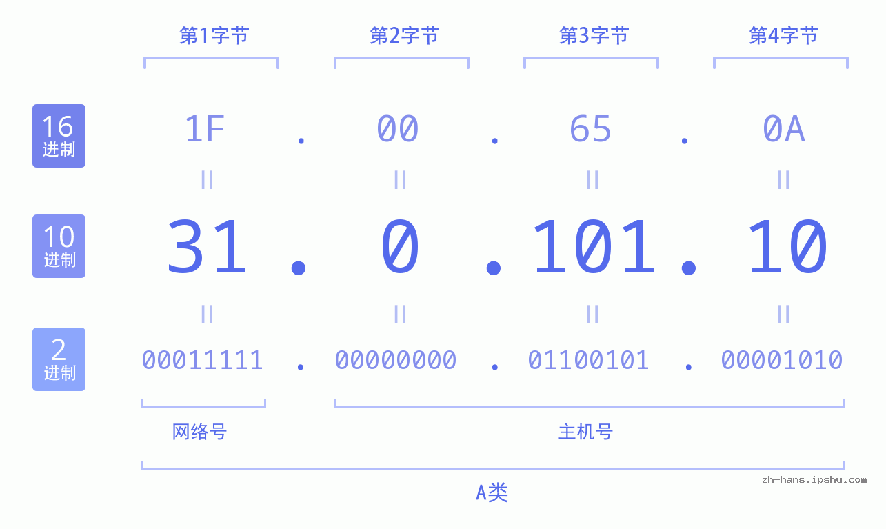 IP地址:31.0.101.10 数据结构图 二进制 十进制 十六进制 IPv4: 31.0.101.10 网络类型 网络号 主机号