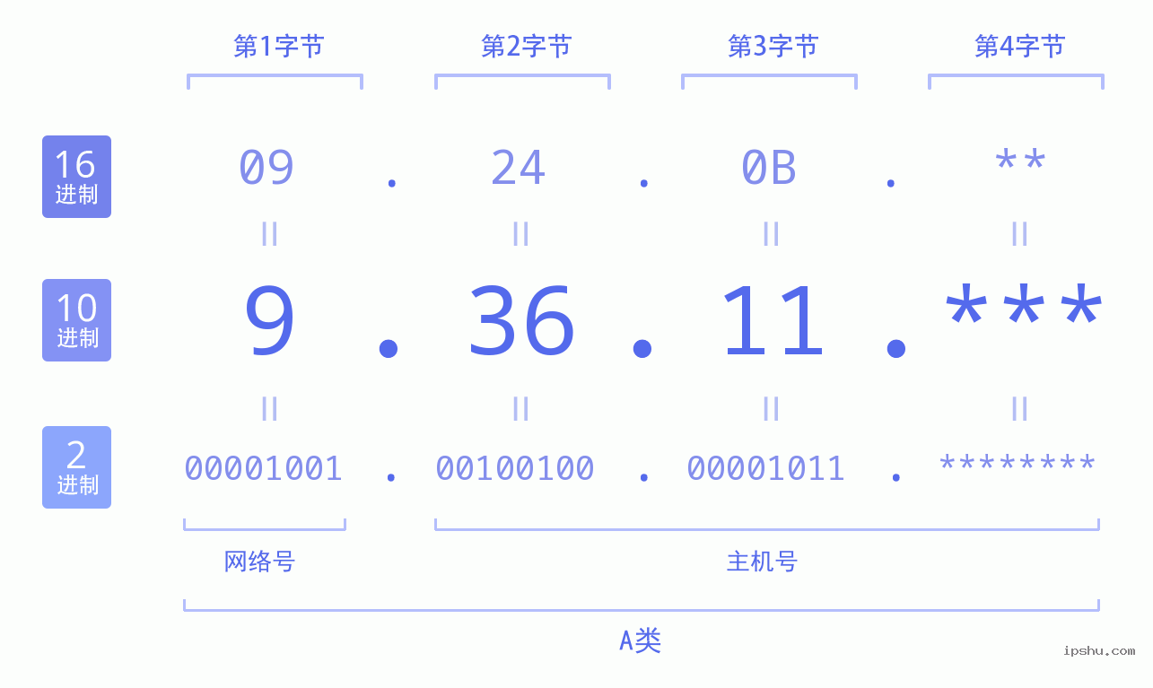 IPv4: 9.36.11 网络类型 网络号 主机号