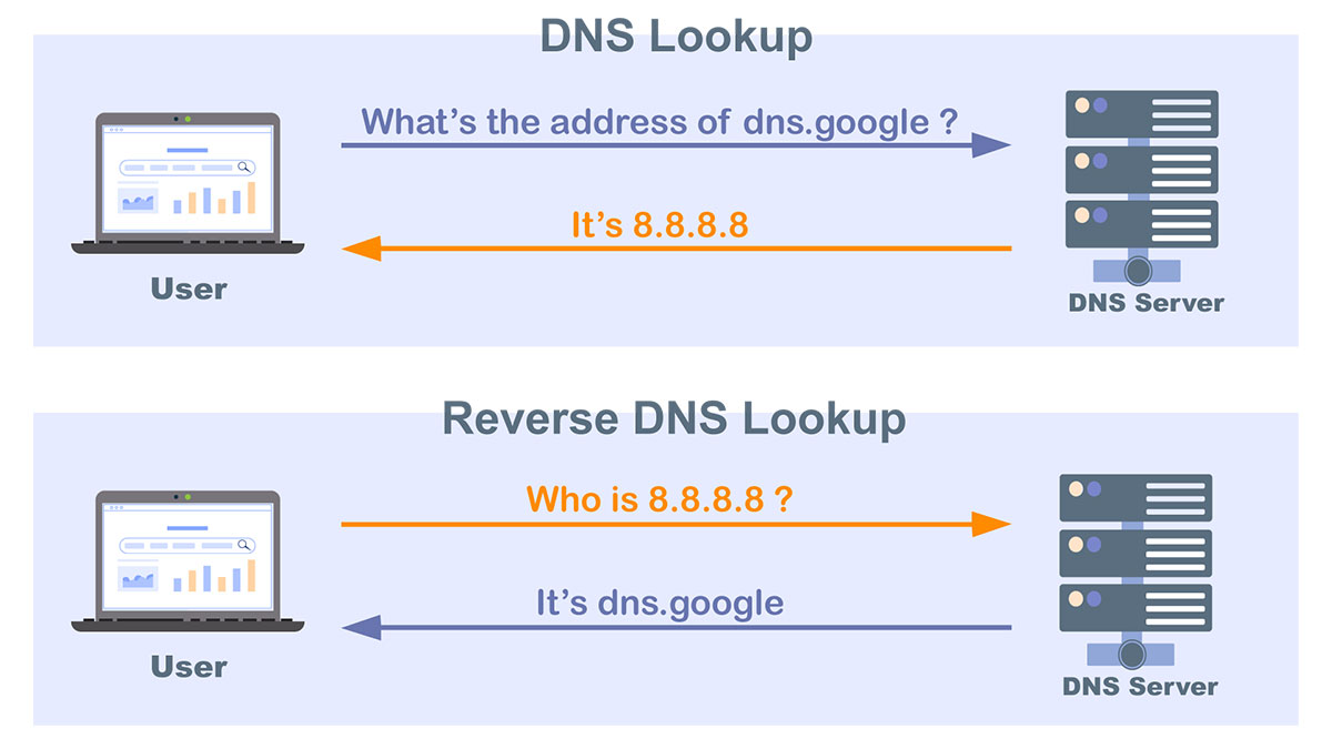什么是IP地址的反向DNS解析？